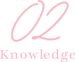 knowledge02
