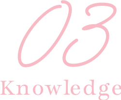 knowledge03